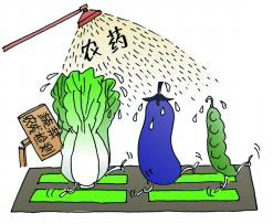 DNTS-P016 食品中氨基甲酸酯類農(nóng)藥殘留 18項