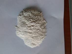 L-乳酸鈣 GB 25555-2010