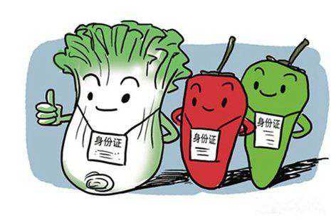進口額連年增長 進博會吸引全球“食力”同臺交流競技