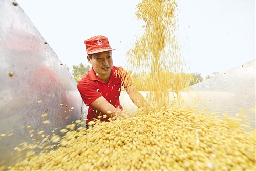 國產(chǎn)大豆產(chǎn)業(yè)發(fā)展水平待提升