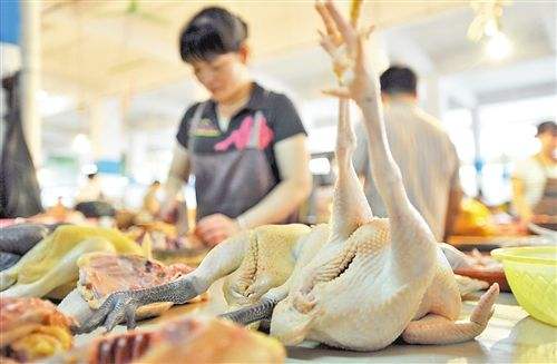 有市場雞肉價格下滑30%！你那里的如何？